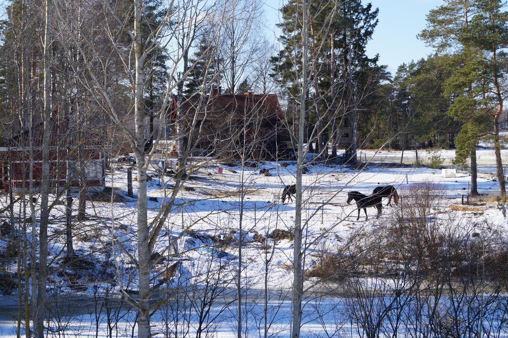 Silfvastas Holiday Homes Lapinjärvi Exterior photo